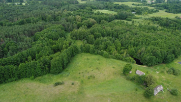 Parduodamas sklypas Ilgininkų k., Varėnos r. sav., 463.00 a ploto 2