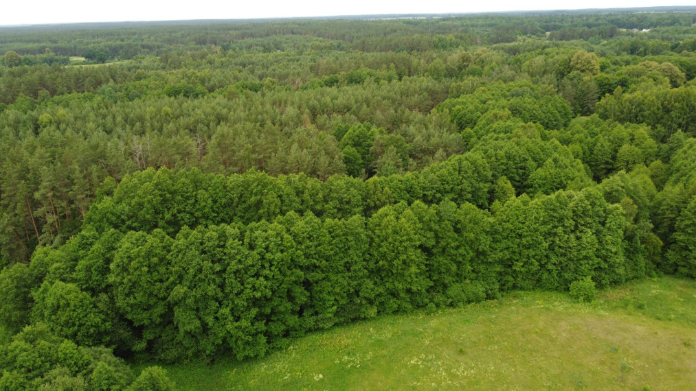 Parduodamas sklypas Ilgininkų k., Varėnos r. sav., 463.00 a ploto 3