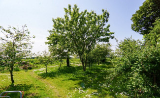 Parduodamas namas Uosių, Nakonių k., Anykščių r. sav., 111.13 m2 ploto, 1 aukštai 21