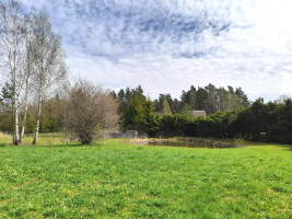 Parduodamas sklypas Jasonių k., Utenos r. sav., 7.73 a ploto 4