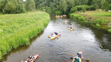 Parduodamas  sklypas Vaškučių k., Raseinių r. sav., 5939 a ploto 21
