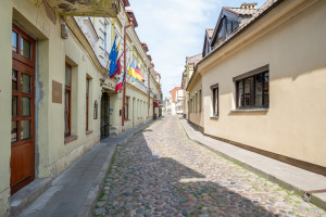 Nuomojamos kitos paskirties patalpos Ligoninės g., Senamiestis, Vilniaus m., Vilniaus m. sav., 30 m2 ploto 19