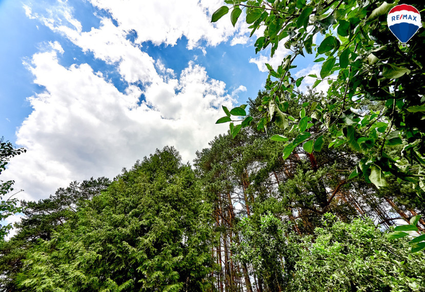 Parduodamas sklypas Upelio g., Jaskonių k., 10.65 a ploto 11