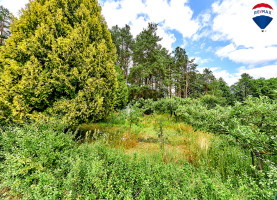 Parduodamas sklypas Upelio g., Jaskonių k., 10.65 a ploto 13