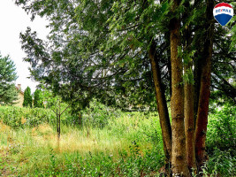 Parduodamas sklypas Upelio g., Jaskonių k., 10.65 a ploto 17