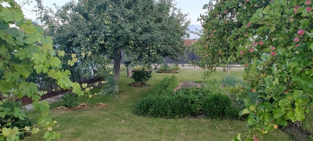 Parduodamas namas Rasos 4-oji g., Mažeikių m., Mažeikių r. sav., 17 m2 ploto, 1 aukštai 12