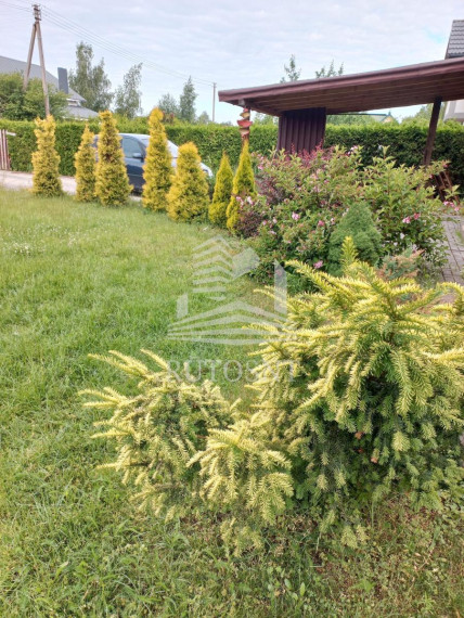 Parduodamas namas Kulių k., Klaipėdos r. sav., 146.29 m² ploto 3 kambariai 6