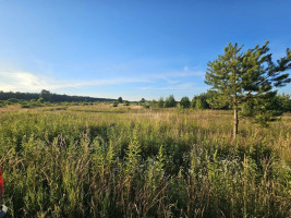 Parduodamas  sklypas Ketvergių k., Klaipėdos r. sav., 477 a ploto 5