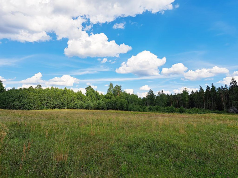 Parduodamas namas Mendrynės k., Molėtų r. sav., 93.00 m² ploto 3 kambariai 19