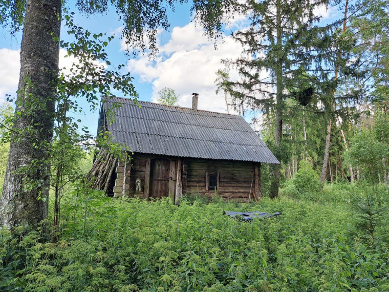 Parduodamas namas Mendrynės k., Molėtų r. sav., 93.00 m² ploto 3 kambariai 6