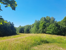 Parduodamas namas Mieliūnų k., Molėtų r. sav., 65 m² ploto 2 kambariai 12
