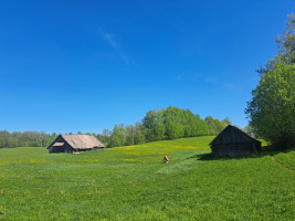 Parduodamas namas Antalamėstės k., Utenos r. sav., 84.70 m² ploto 2 kambariai 9