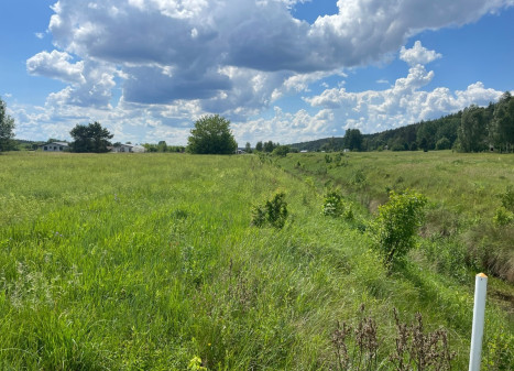Parduodamas  sklypas Gailiūnų k., Druskininkų sav., 20 a ploto