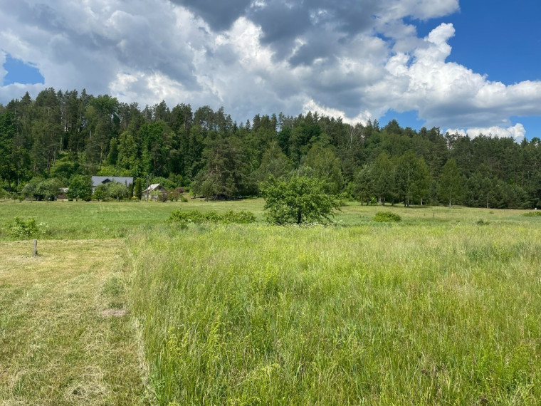 Parduodamas sklypas Gailiūnų k., Druskininkų sav., 20 a ploto 2