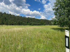 Parduodamas  sklypas Gailiūnų k., Druskininkų sav., 20 a ploto 3