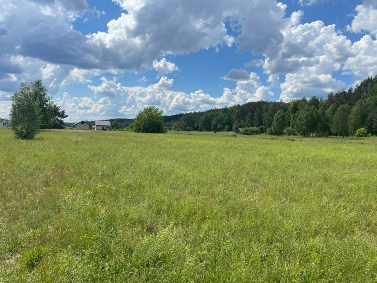 Parduodamas sklypas Gailiūnų k., Druskininkų sav., 20 a ploto 4
