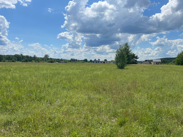 Parduodamas sklypas Gailiūnų k., Druskininkų sav., 20 a ploto 5