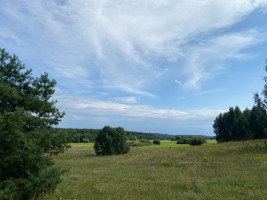 Parduodamas  sklypas S. Sutkaus g.3, Mikytų k., Šakių r. sav., 342 a ploto 7