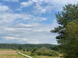 Parduodamas  sklypas S. Sutkaus g.3, Mikytų k., Šakių r. sav., 342 a ploto 9