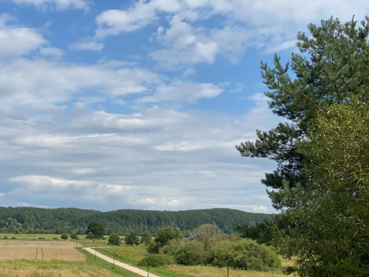 Parduodamas  sklypas S. Sutkaus g.3, Mikytų k., Šakių r. sav., 342 a ploto 9
