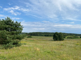 Parduodamas  sklypas S. Sutkaus g.3, Mikytų k., Šakių r. sav., 342 a ploto 10