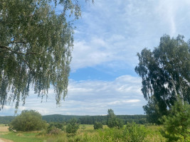 Parduodamas  sklypas S. Sutkaus g.3, Mikytų k., Šakių r. sav., 342 a ploto 11