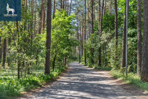 Parduodamas namas Gvazdikų Sodų 6-oji g., Vilniaus m., Vilniaus m. sav., 117 m2 ploto, 2 aukštai 22