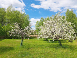 Parduodamas namas Paalsuodės II k., Utenos r. sav., 68.00 m² ploto 3 kambariai 15