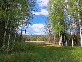 Parduodamas namas Paalsuodės II k., Utenos r. sav., 68.00 m² ploto 3 kambariai 16