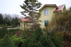 Parduodamos kitos paskirties, maitinimo patalpos Proskynos g. , Šakinių k., Klaipėdos r. sav., 426.05 m2 ploto 4