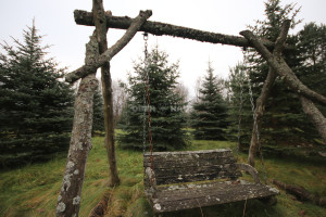 Parduodamos kitos paskirties, maitinimo patalpos Proskynos g. , Šakinių k., Klaipėdos r. sav., 426.05 m2 ploto 21