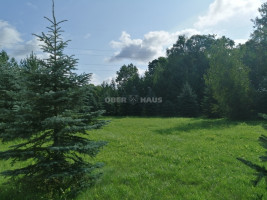 Parduodamos kitos paskirties, maitinimo patalpos Proskynos g. , Šakinių k., Klaipėdos r. sav., 426.05 m2 ploto 24
