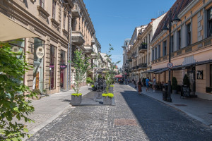 Nuomojamos administracinės patalpos Vilniaus g., Senamiestis, Vilniaus m., Vilniaus m. sav., 146.15 m2 ploto 22