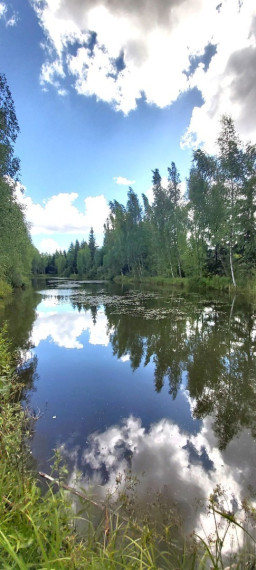 Parduodamas namas Baukių k., Raseinių r. sav., 85.19 m2 ploto, 1 aukštai 29
