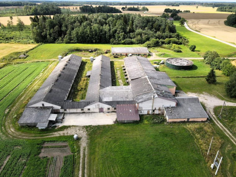 Parduodamos patalpos Kaimynų g., Liutkiškių k., Radviliškio r. sav., 6153.55 m² ploto 12