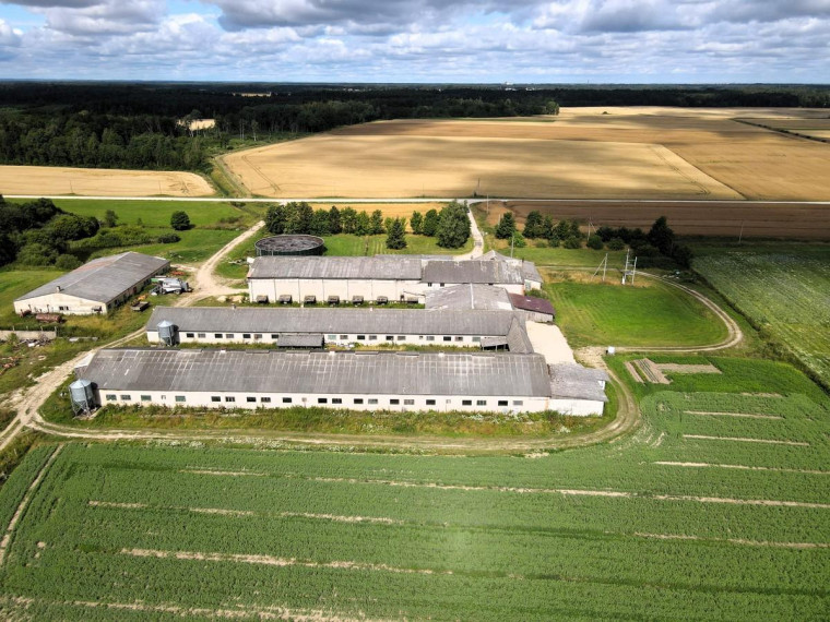 Parduodamos patalpos Kaimynų g., Liutkiškių k., Radviliškio r. sav., 6153.55 m² ploto 14