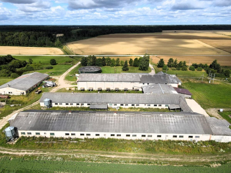 Parduodamos patalpos Kaimynų g., Liutkiškių k., Radviliškio r. sav., 6153.55 m² ploto 15