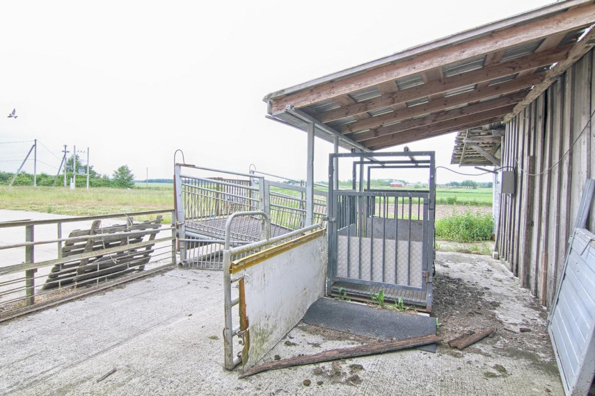 Parduodamos patalpos Kaimynų g., Liutkiškių k., Radviliškio r. sav., 6153.55 m² ploto 19