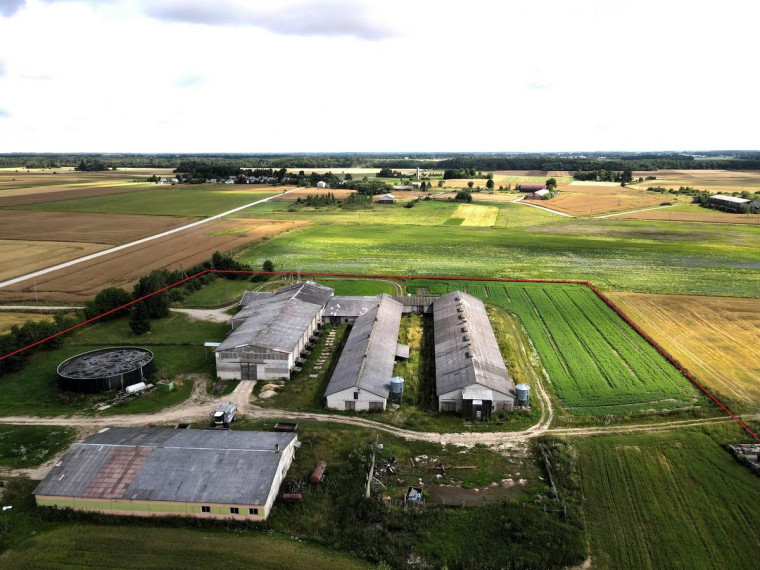 Parduodamos patalpos Kaimynų g., Liutkiškių k., Radviliškio r. sav., 6153.55 m² ploto 6