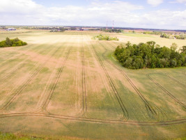 Parduodamas  sklypas Panevėžio m. k.v., Panevėžio m., Panevėžio m. sav., 560 a ploto 4
