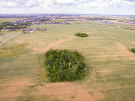 Parduodamas  sklypas Panevėžio m. k.v., Panevėžio m., Panevėžio m. sav., 560 a ploto 5