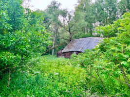 Parduodamas kitos paskirties sklypas Nemuno g., Panaros k., Varėnos r. sav., 90 a ploto 10