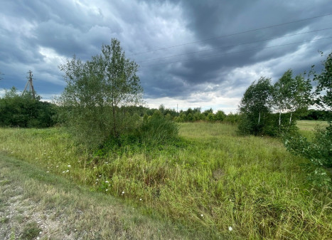 Parduodamas kitos paskirties sklypas Išorų k., Jonavos r. sav., 85 a ploto