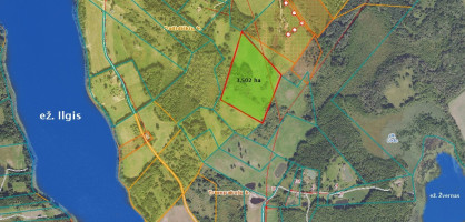 Parduodamas  sklypas Dailidiškių k., Molėtų r. sav., 350.21 a ploto 18