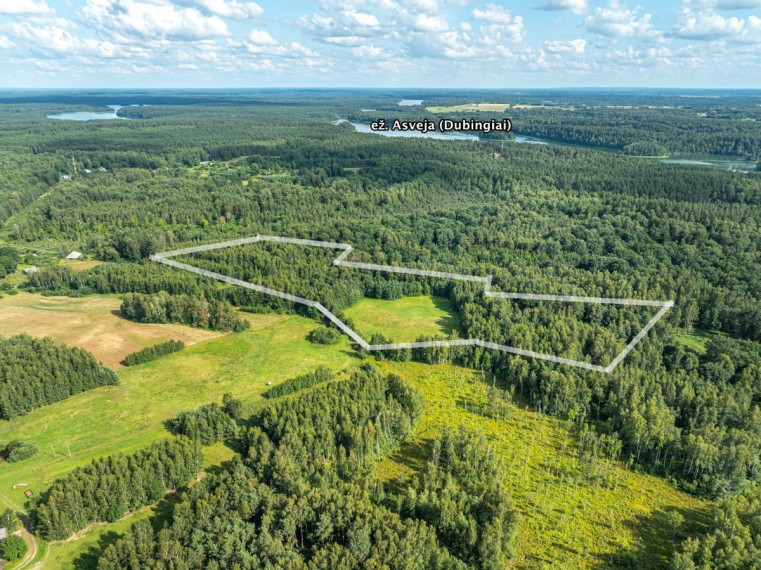 Parduodamas sklypas Gramiškių k., Molėtų r. sav., 468 a ploto 4