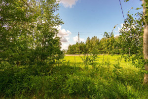 Parduodamas butas Žemdirbių g., Paliūniškio k., Panevėžio r. sav., 93.01 m2 ploto, 3 kambariai 30