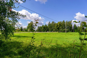 Parduodamas butas Žemdirbių g., Paliūniškio k., Panevėžio r. sav., 93.01 m2 ploto, 3 kambariai 31