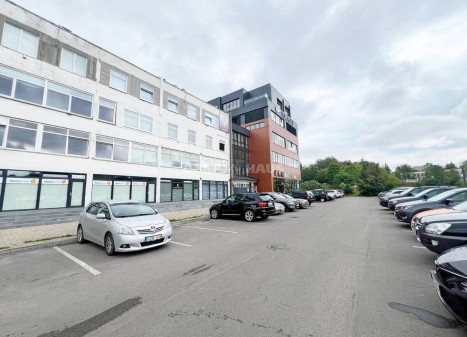 Parduodamos administracinės, kitos paskirties patalpos Kranto g., Centras, Panevėžio m., Panevėžio m. sav., 202 m2 ploto