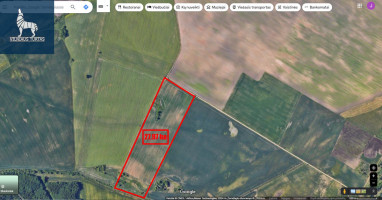 Parduodamas  sklypas Šobliškių k., Šiaulių r. sav., 2797 a ploto 1