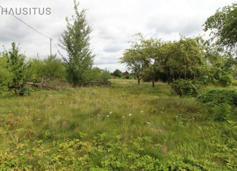 Parduodamas sodų paskirties sklypas Daukniškių k., Panevėžio r. sav., 12 a ploto